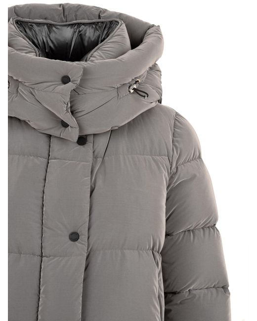 Moorer Gray Coats