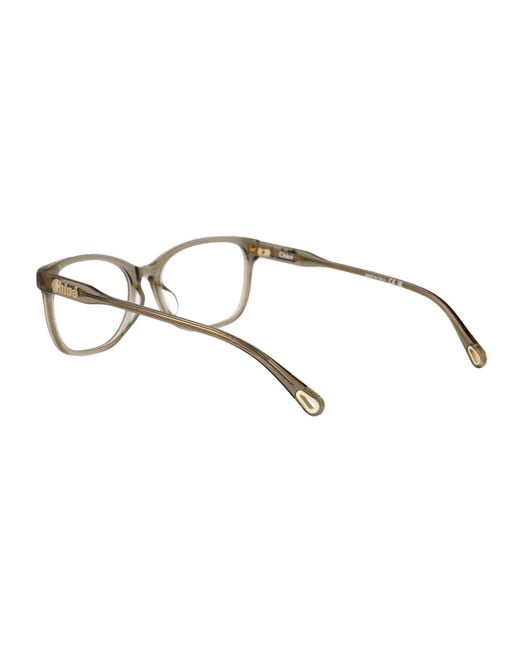 Chloé Brown Acetate Optical Glasses