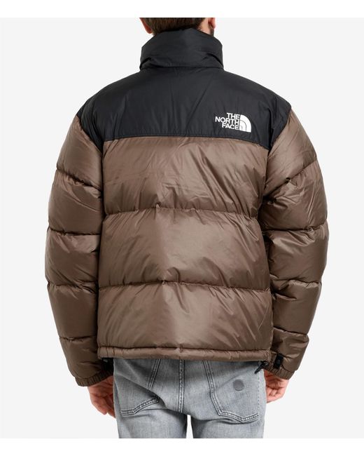 The North Face Brown Die Nordflächenbedeckungen braun