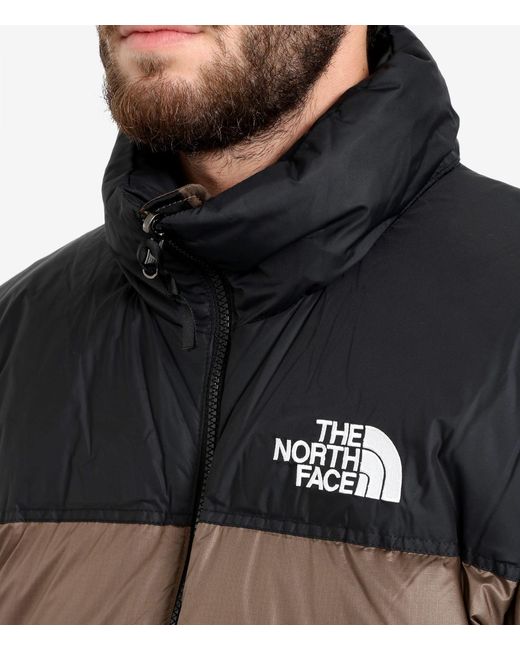 The North Face Brown Die Nordflächenbedeckungen braun