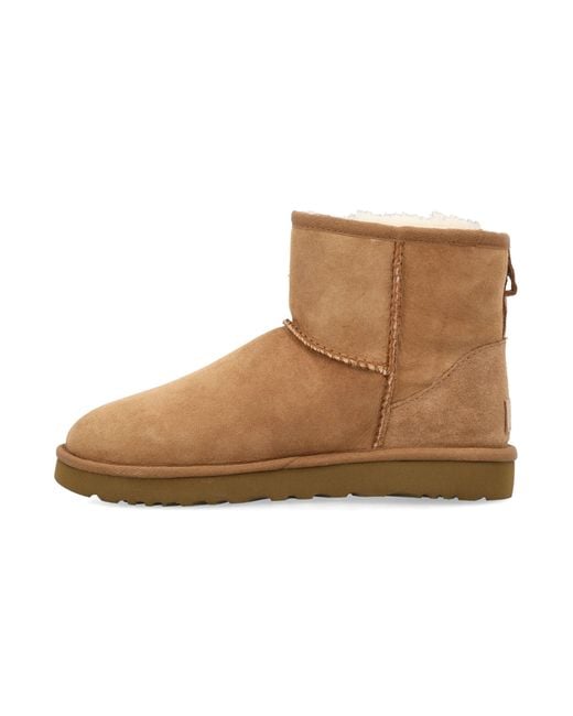 Ugg Brown Classic Mini Ii Suede Boots With Shearling Lining
