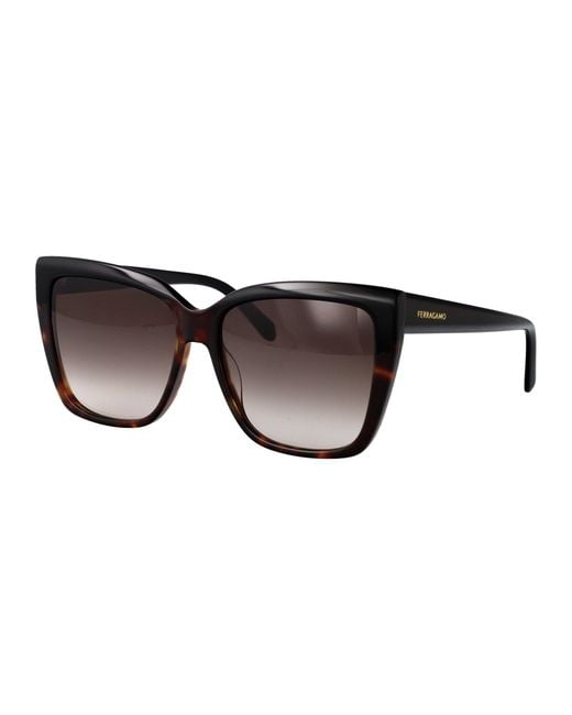Ferragamo Brown Sunglasses