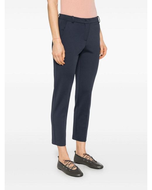 Rosa azul Pinko de color Blue