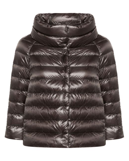 Herno Donsjack Met Trechterhals in het Gray