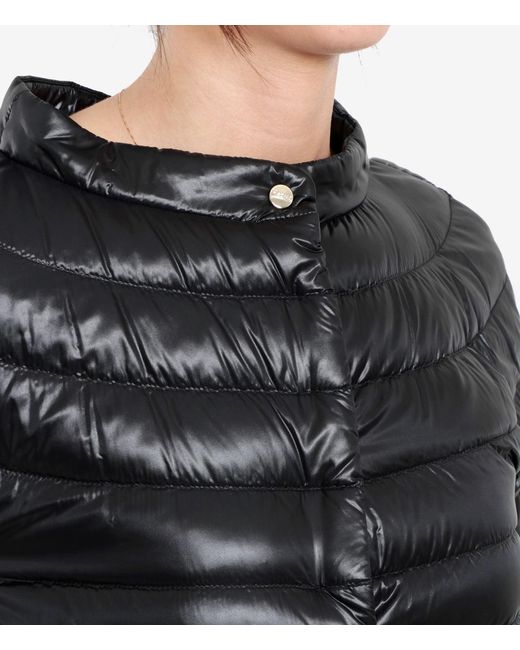 Herno Black Coats