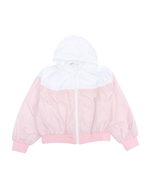 Marni Mj145f Giacca in het Pink