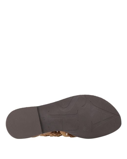 Ash Brown Sandals