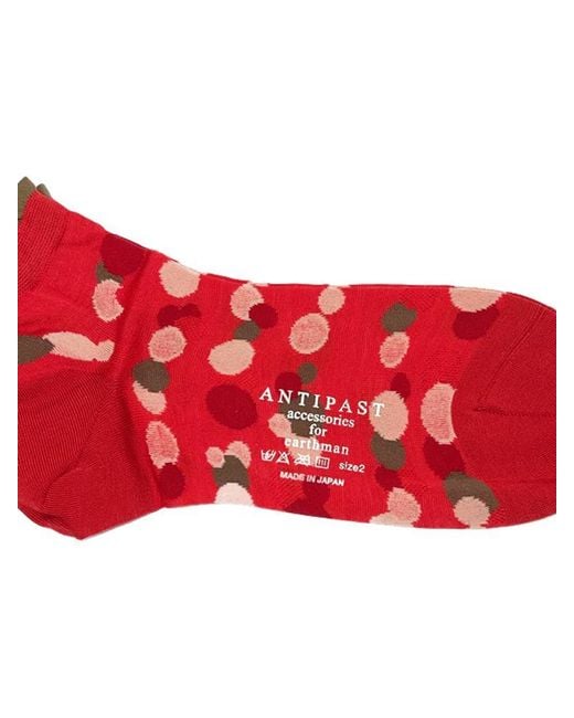 Antipast Red Pois Short Socks