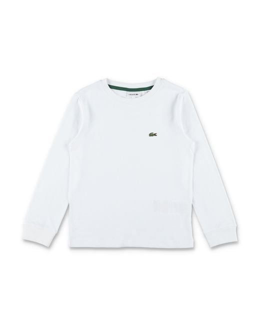 Lacoste White T Shirts And Polos
