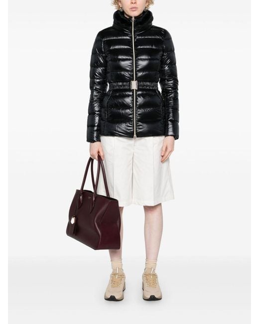 Herno Black Coats