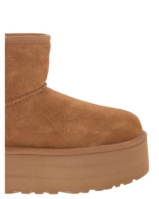 Ugg Brown Classic Mini Platform