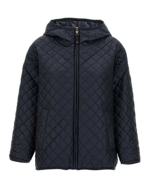Max Mara Max Mara De Cube 'leo' Omkeerbare Jas in het Blue