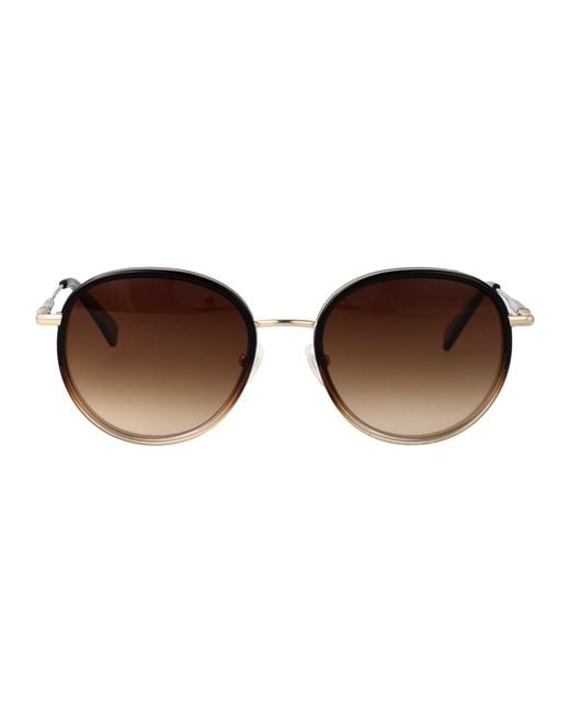Longchamp Brown Sunglasses