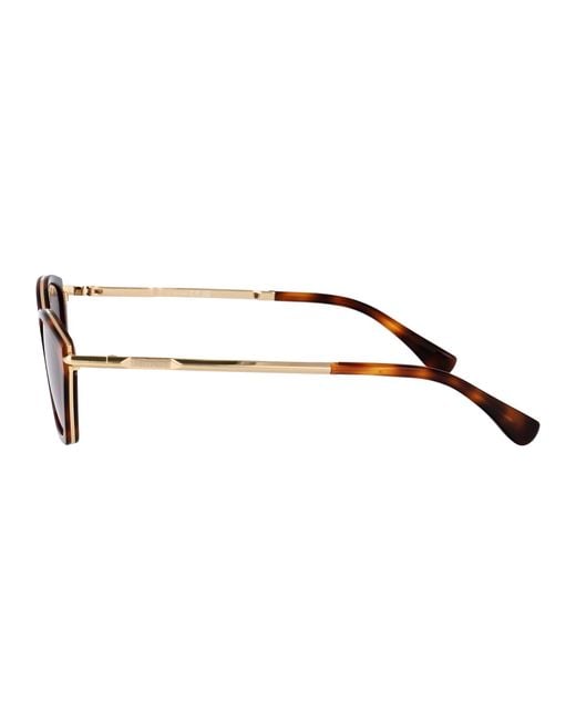 Max Mara Brown Sunglasses