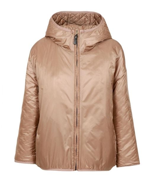 Max Mara Brown Coats