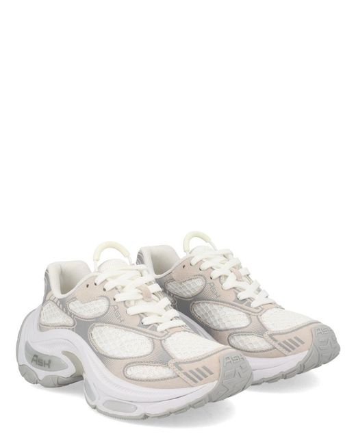 Ash White Dragon Sneaker