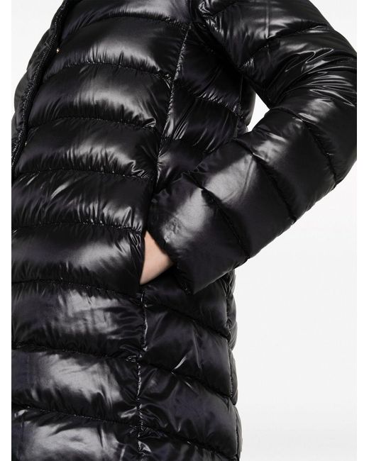 Herno Black Outerwears
