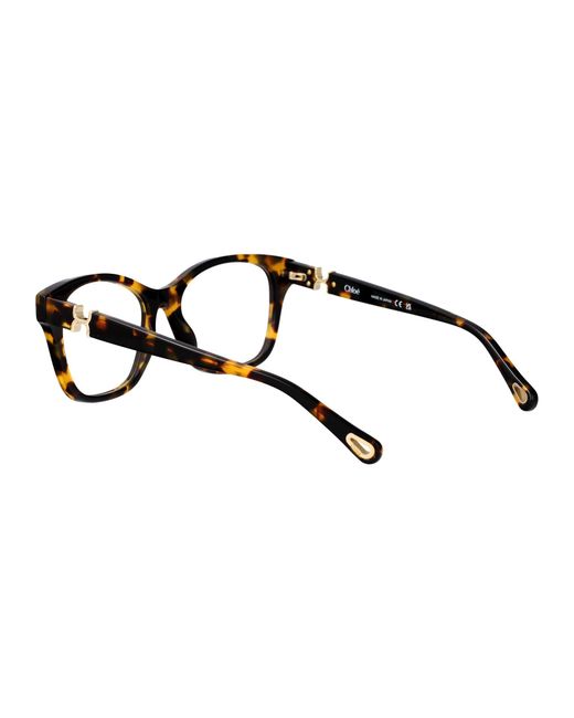 Chloé Brown Havana-Havana-Transparent Recycled Acetate Glasses