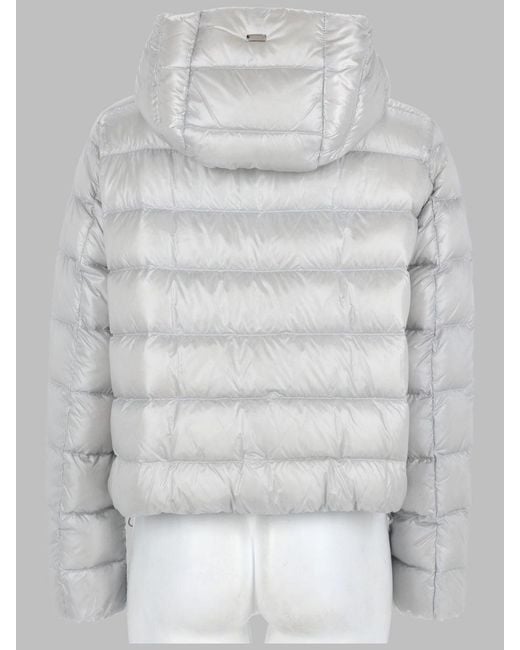 Herno Gray Sports Jacket By