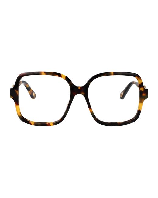 Chloé Black Havana-Havana-Transparent Recycled Acetate Glasses