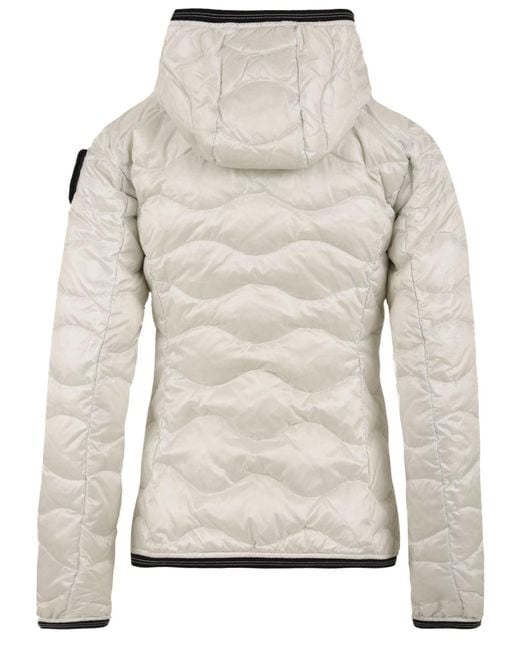 Blauer Gray Coats
