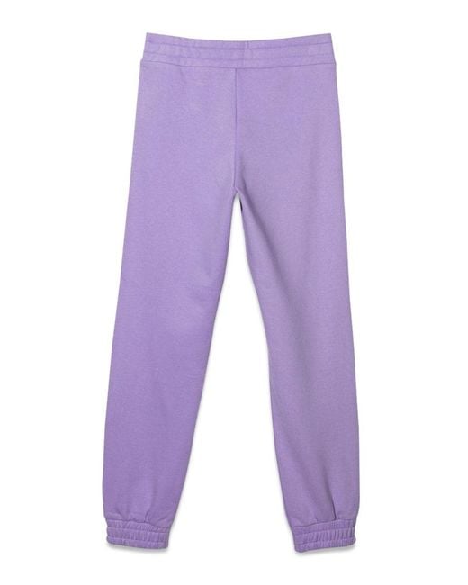 Tommy Hilfiger Purple Overprint Sweatpant