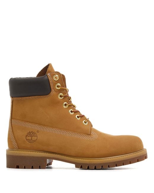 Timberland Brown Lacedup for men