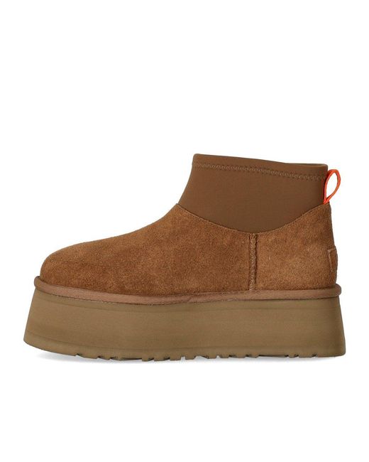 Ugg Brown Classic Mini Dipper Suede/Neoprene/Recycled Materials/Polyester Classic Boots