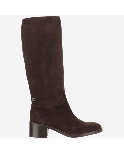Stivali di CAREL PARIS in Brown