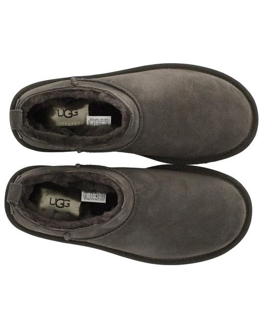 Ugg Brown Slippers
