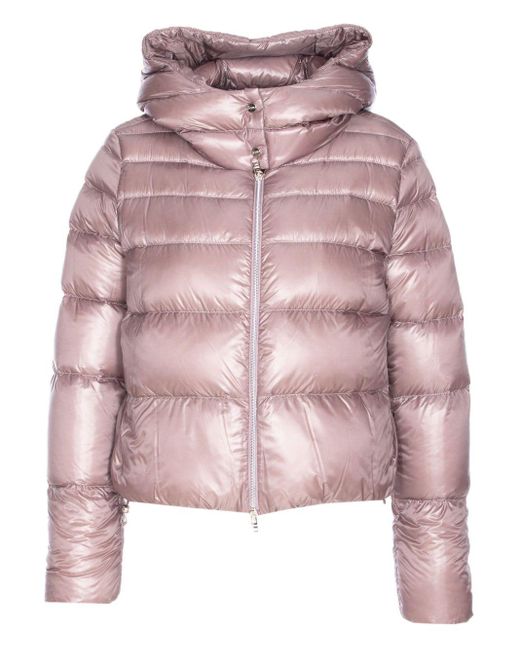Piumino Con Cappuccio di Herno in Pink