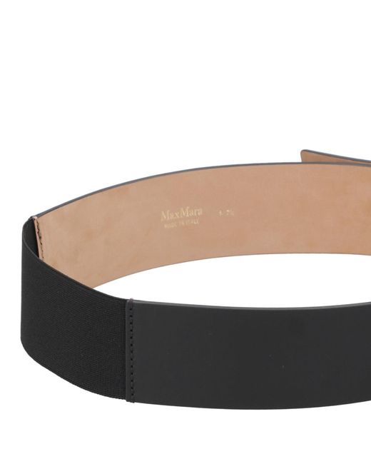 Max Mara Black Belts