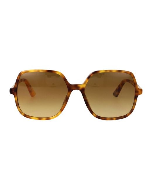 Chloé Brown Havana-Havana- Acetate Sunglasses