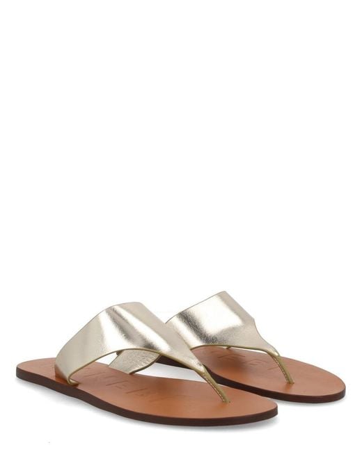 Manebí Brown Goat Leather Buff Leather Neolite Flats