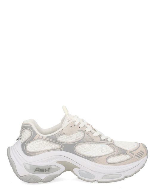 Ash White Dragon Sneaker