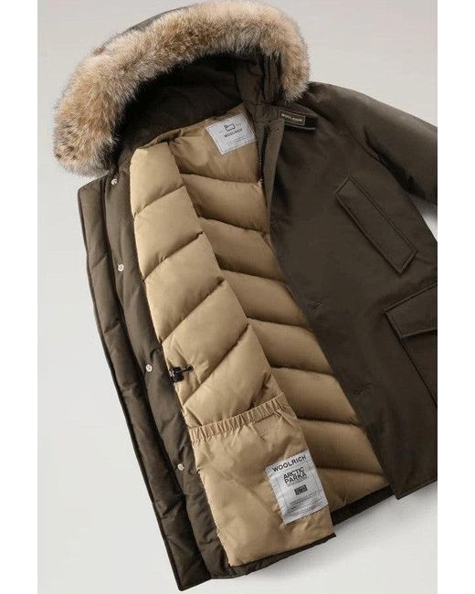 Woolrich Parka Arctic Man Baumwollgrün/dunkelgrün in Brown für Herren