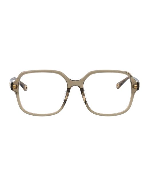 Chloé Multicolor Acetate Optical Glasses