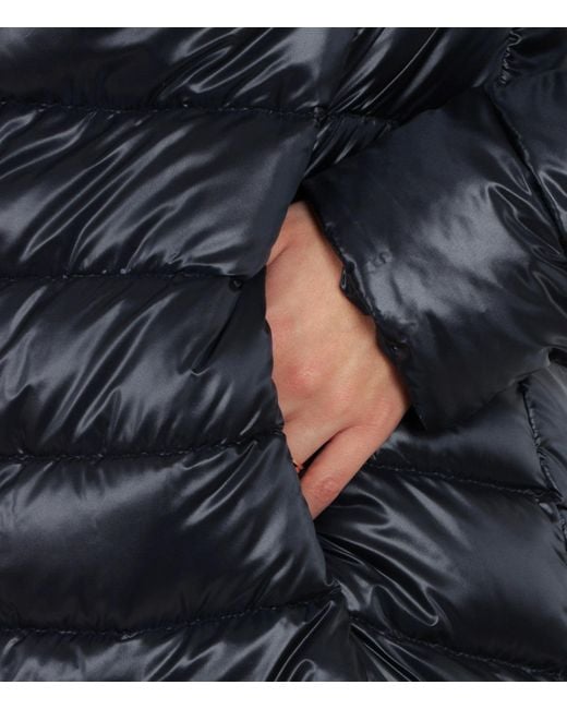 Herno Black Coats