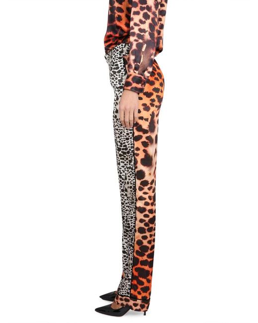 Roberto Cavalli Multicolor Moray Eel Print Pants