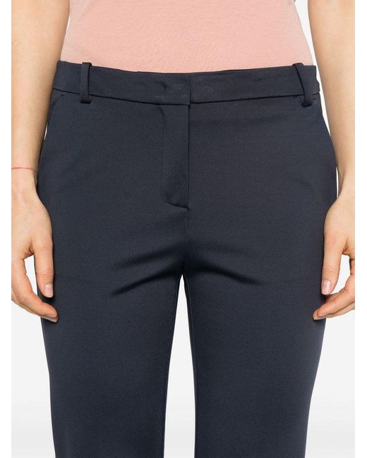 Rosa azul Pinko de color Blue