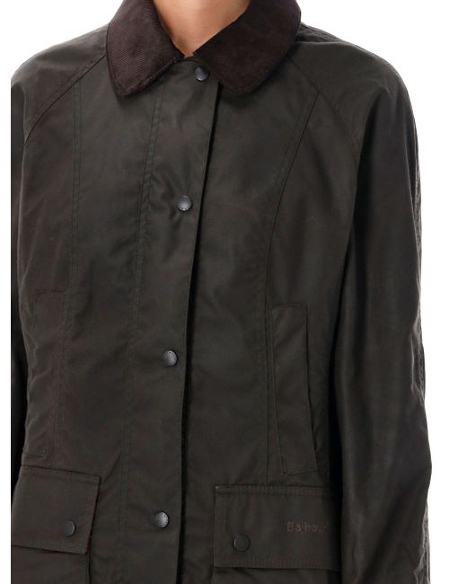 Barbour Black Coats Green