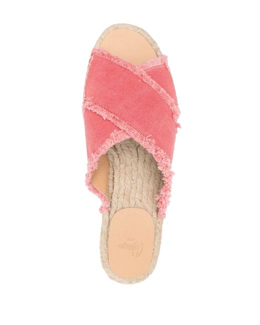 Castaner Pink Palmera/002 for men