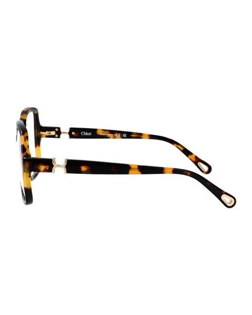 Chloé Black Havana-Havana-Transparent Recycled Acetate Glasses