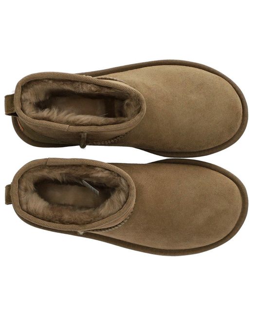 Ugg Brown Classic Mini Ii Antilope Boot