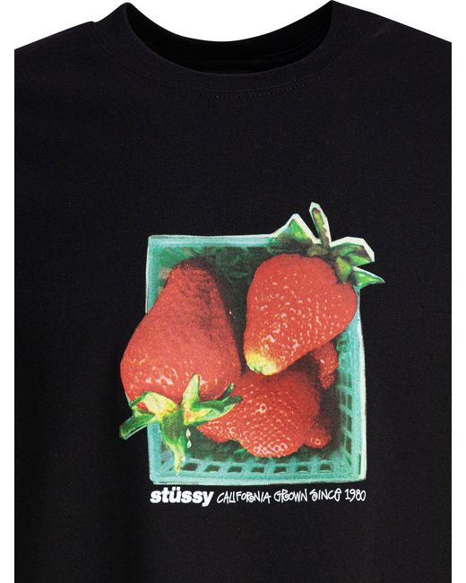Stussy T-Shirt mit Aufdruck in Black für Herren