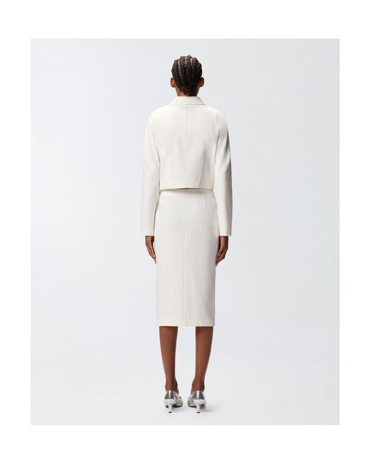 Rosa blanco Pinko de color White