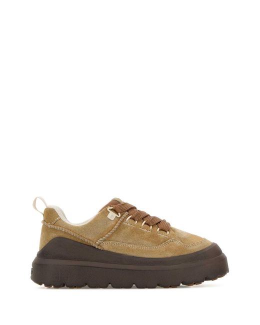 Ugg Brown Chestnut Solid Sneakers for men