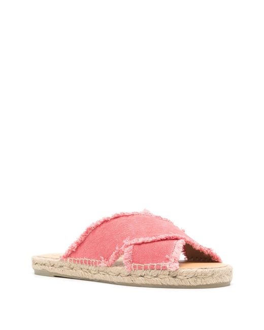 Castaner Pink Palmera/002 for men