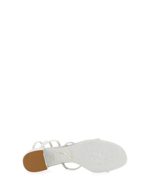 Rene Caovilla White Sandalo Cleo