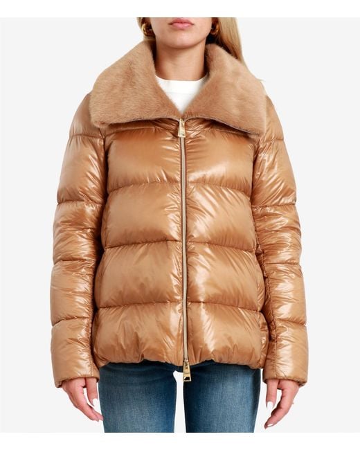 Herno Brown Coats